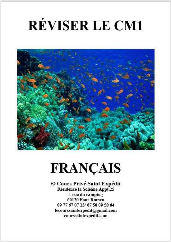 2.8 RÉVISER LE CM1 FRANÇAIS 7 CHAPITRES ET 7 DEVOIRS