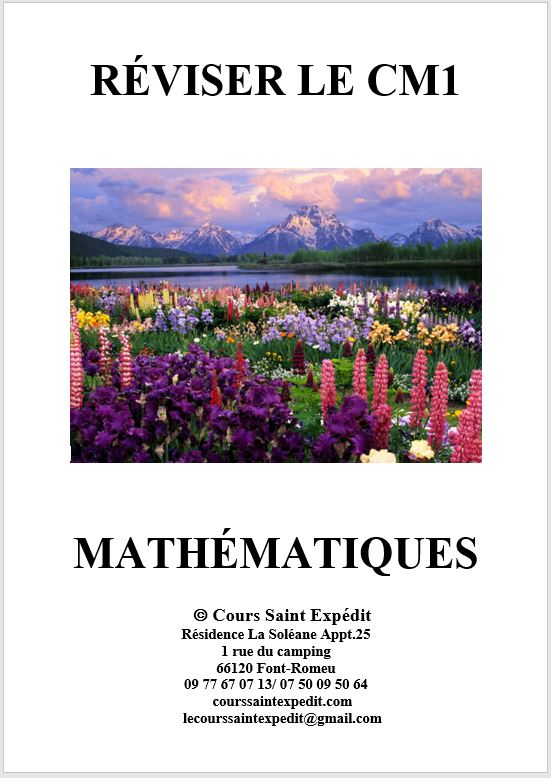 2.9 RÉVISER LE CM1 MATHÉMATIQUES 5 CHAPITRES ET 5 DEVOIRS