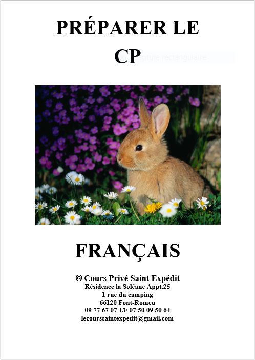 1.2. PRÉPARER LE CP FRANÇAIS 7 CHAPITRES ET 7 DEVOIRS