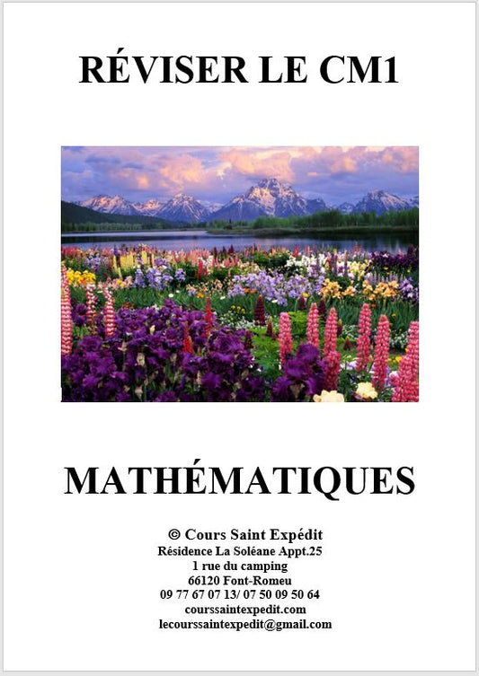 2.9 RÉVISER LE CM1 MATHÉMATIQUES 5 CHAPITRES ET 5 DEVOIRS